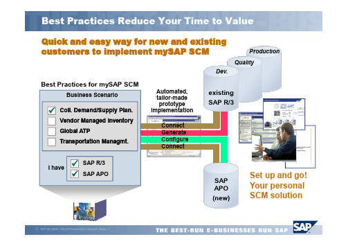 SAP SCM(供应链管理)