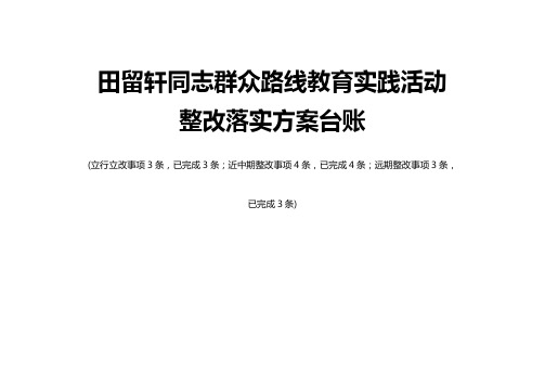 田留轩同志群众路线教育实践活动整改落实方案台账