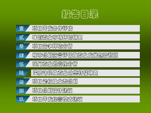 珠海商业市场调研报告