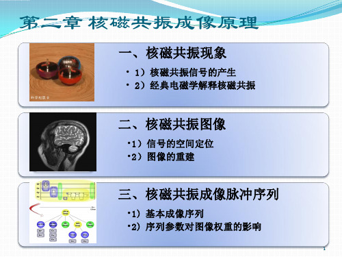 核磁共振成像原理