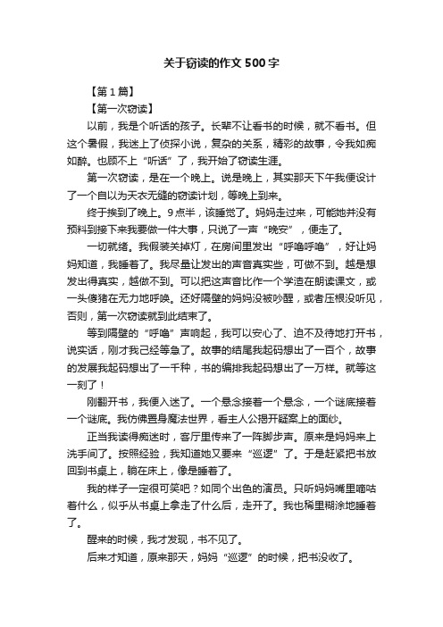 关于窃读的作文500字