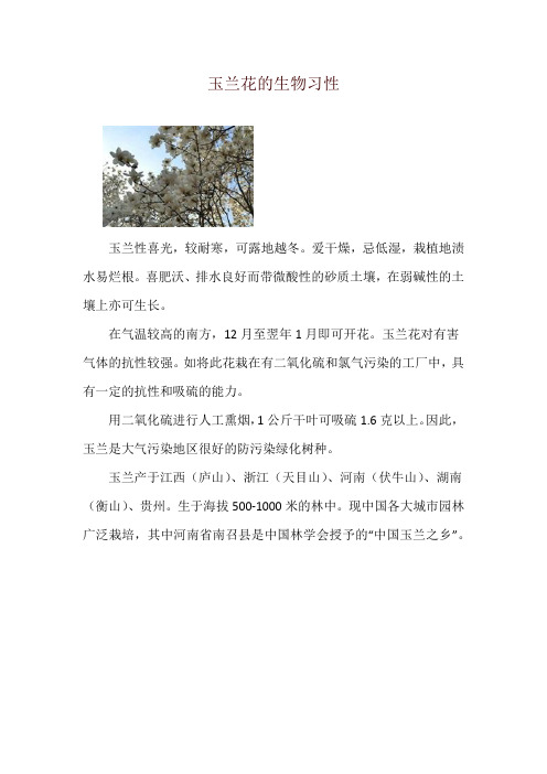 玉兰花的生物习性