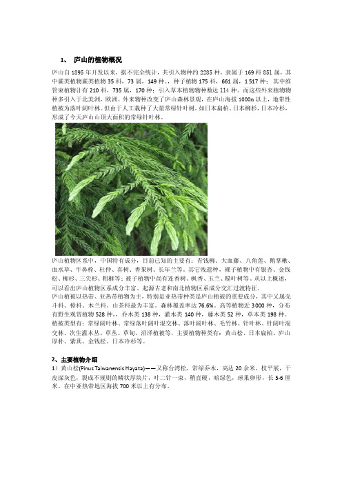 庐山植物群落