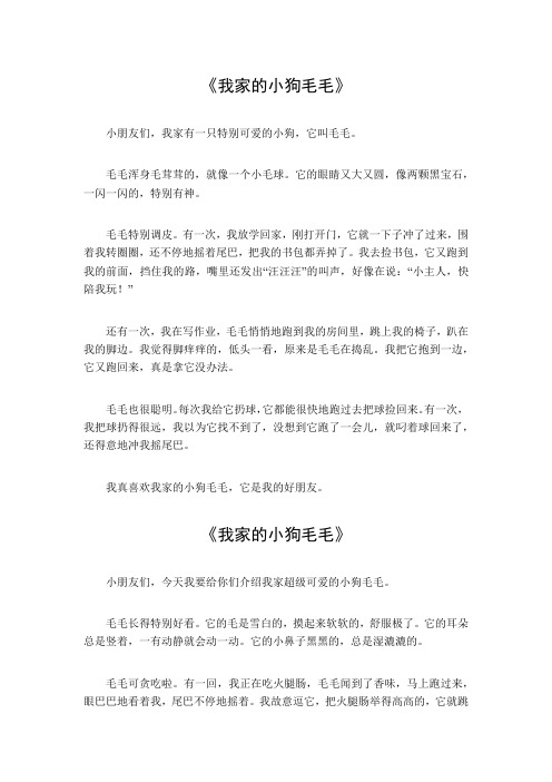 我家的小狗毛毛作文300字