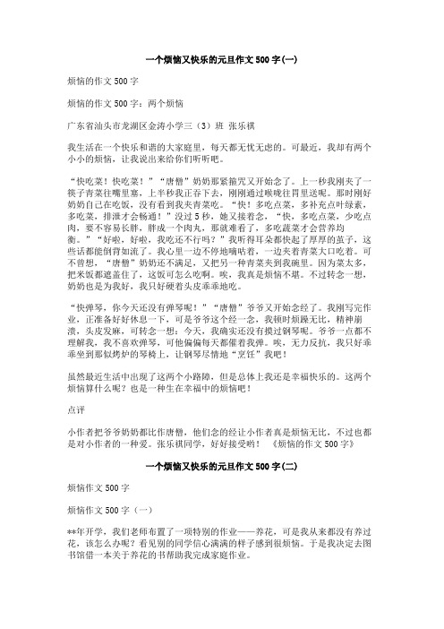 一个烦恼又快乐的元旦作文500字