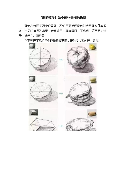 【素描教程】单个静物素描结构图