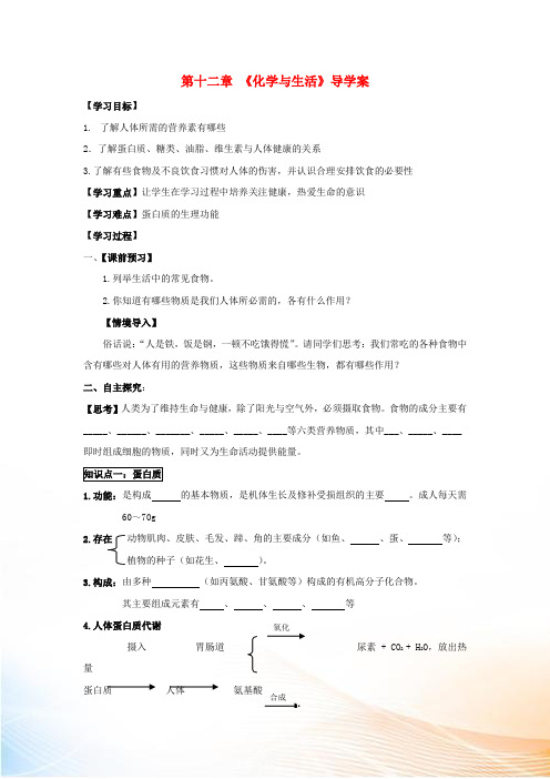 九年级化学下册 第十二章《化学与生活》导学案 新人教版