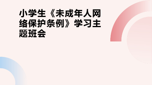 小学生《未成年人网络保护条例》学习主题班会