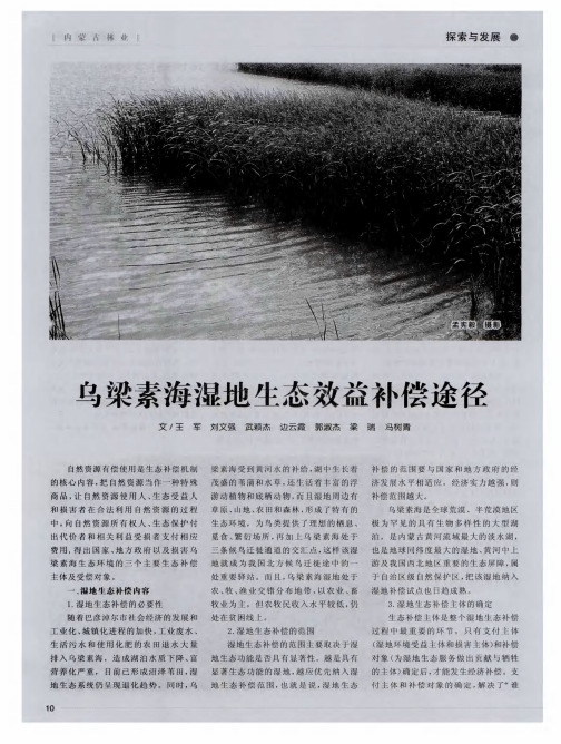 乌梁素海湿地生态效益补偿途径