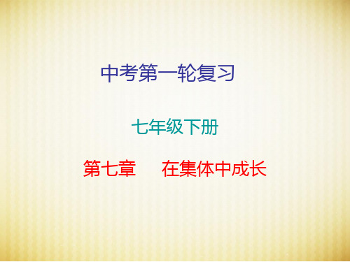 2020届中考道德和法治复习课件：七年级下册第七章 在集体中成长 (共54张PPT)