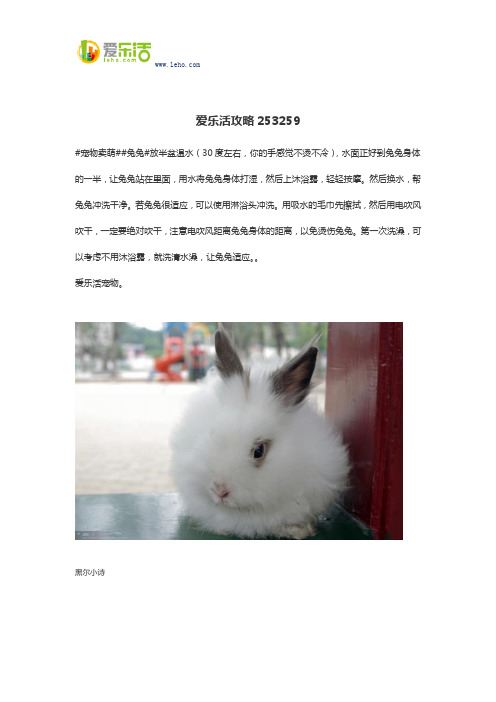 爱乐活攻略253259