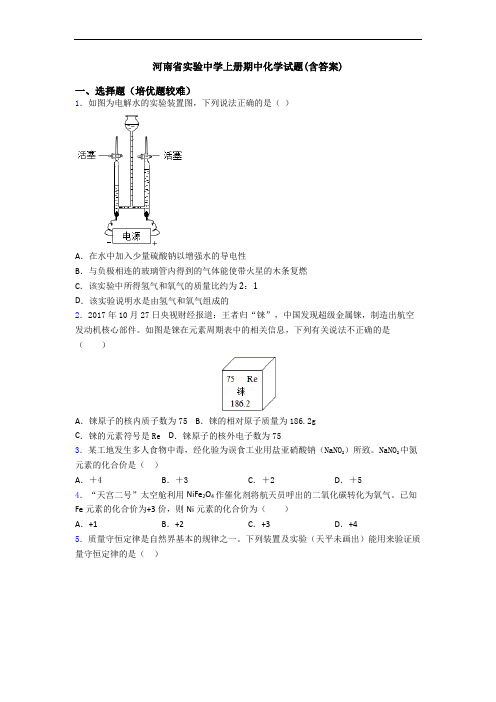 河南省实验中学上册期中初三化学试题(含答案)