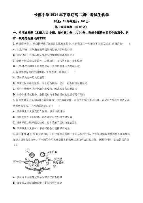 湖南省长沙市长郡中学2024-2025学年高二上学期期中考试生物试卷 Word版无答案