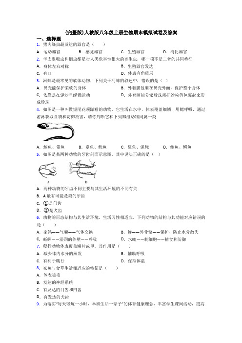 (完整版)人教版八年级上册生物期末模拟试卷及答案