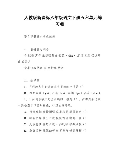 人教版新课标六年级语文下册五六单元练习卷