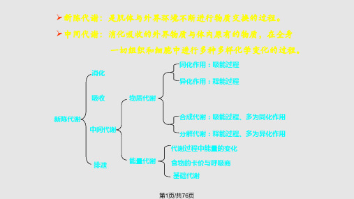 药学代谢和代谢调控总论PPT课件