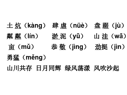 16 青山不老ppt课件