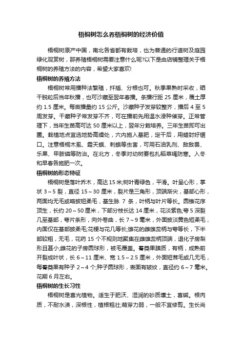 梧桐树怎么养梧桐树的经济价值