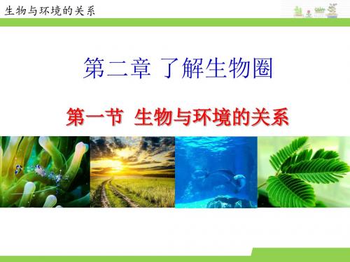 人教版七年级生物上册1.2.1 生物与环境的关系(56张PPT)