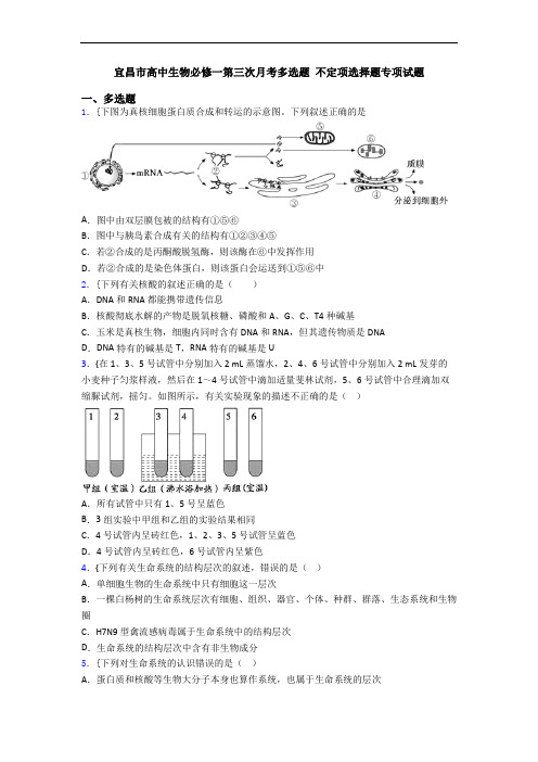 宜昌市高中生物必修一第三次月考多选题 不定项选择题专项试题