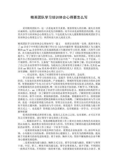 精英团队学习培训体会心得要怎么写