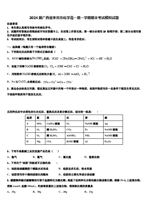 2024届广西省来宾市化学高一第一学期期末考试模拟试题含解析