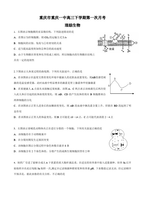 重庆市重庆一中高三下学期第一次月考(理综生物).doc