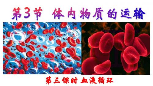 九年级科学上册4.3体内物质的运输(第3课时)血液循环教学课件(新版)浙教版