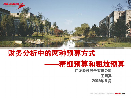 财务分析中的两种预算方式——粗放预算和精细预算