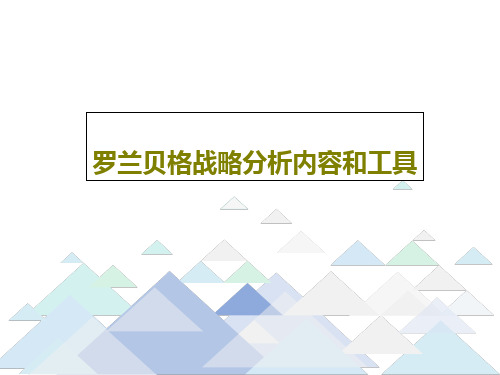 罗兰贝格战略分析内容和工具共70页