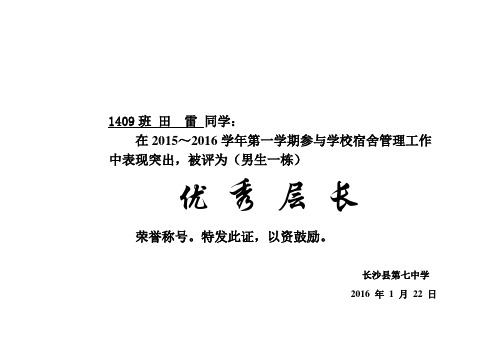 “优秀层长”荣誉证书打印模板2