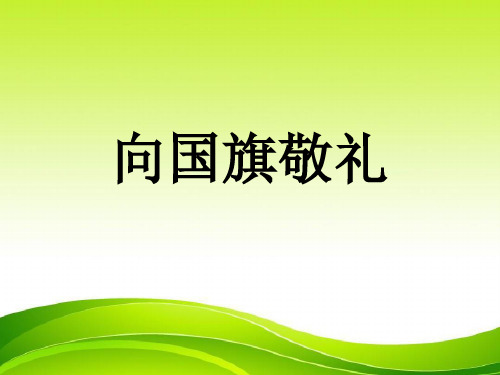 《向国旗敬礼》课件 (市优)2022年统编版ppt