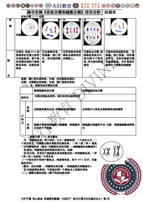 高中生物必修二有丝分裂_减数分裂详尽分析.doc【打印】