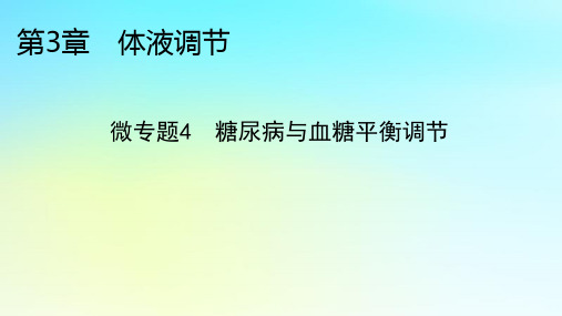 高中生物第3章体液调节微专题4糖尿病与血糖平衡调节新人教版选择性必修1