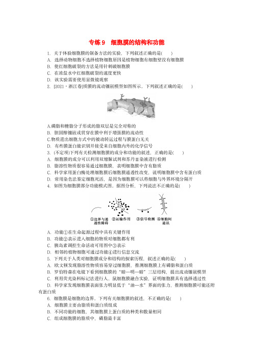 新高考2024版高考生物一轮复习：细胞膜的结构和功能