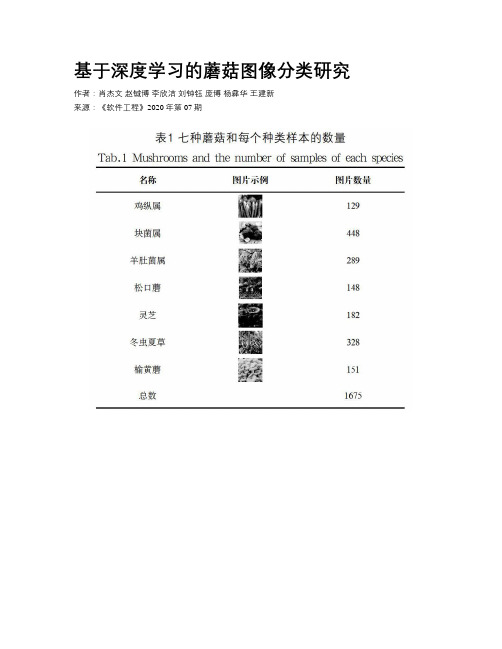 基于深度学习的蘑菇图像分类研究