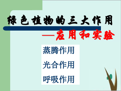 人教版初中生物复习课 绿色植物的三大作用—应用和实验 课件