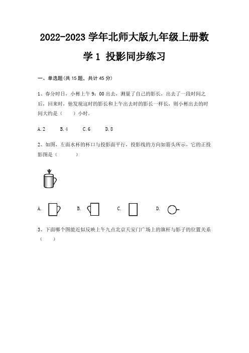 2022-2023学年北师大版九年级上册数学1 投影同步练习