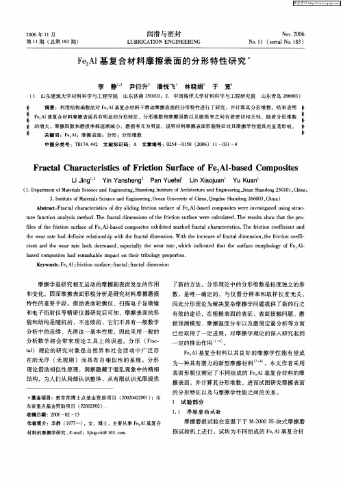 Fe3Al基复合材料摩擦表面的分形特性研究