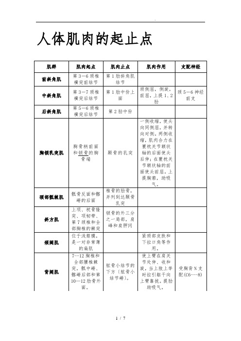 人体肌肉的起止点