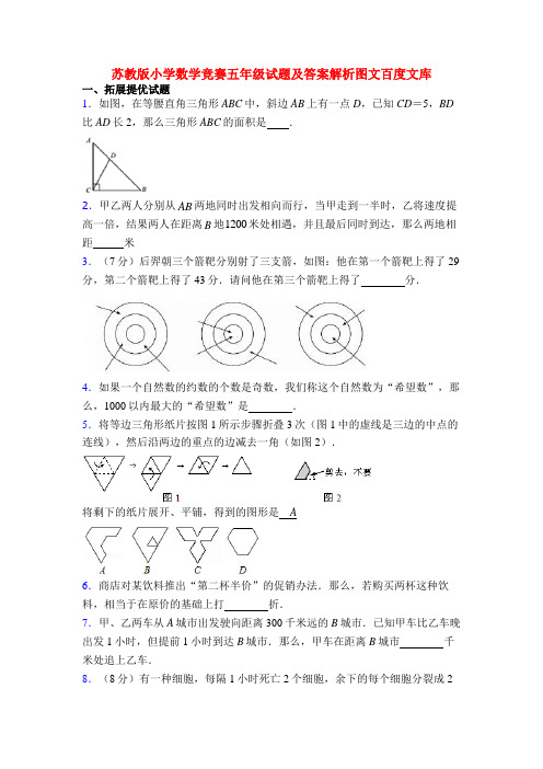 苏教版小学数学竞赛五年级试题及答案解析图文百度文库