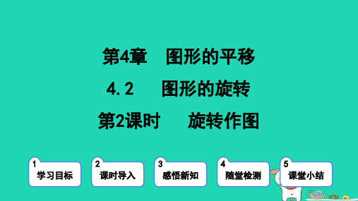 2024八年级数学上册第四章图形的平移与旋转2图形的旋转第2课时旋转作图课件鲁教版五四制