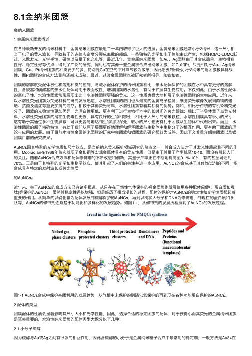 8.1金纳米团簇