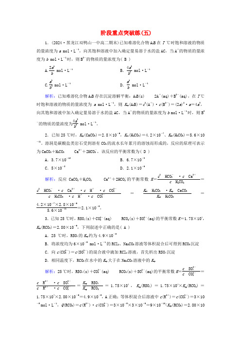 2025版新教材高中化学阶段重点突破练五新人教版选择性必修1