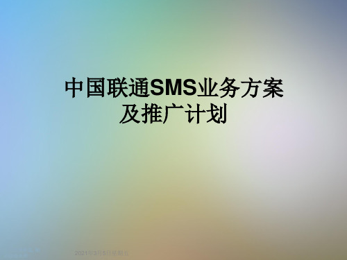 中国联通SMS业务方案及推广计划