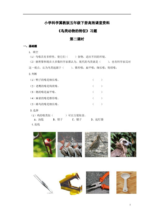 小学科学冀教版六年级上册高效课堂资料《鸟类动物的特征》习题——第2课时