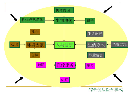 行为生活方式与健康