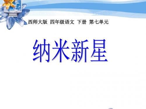 纳米新星 教学PPT课件