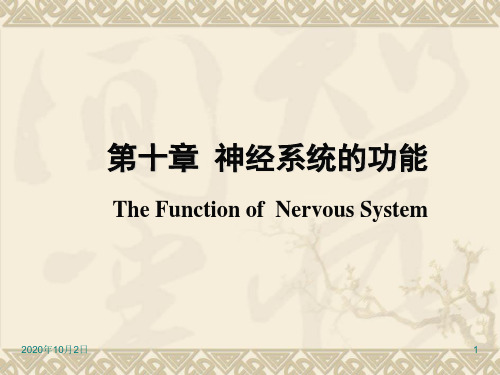 神经系统的功能ppt-生理学PPT课件