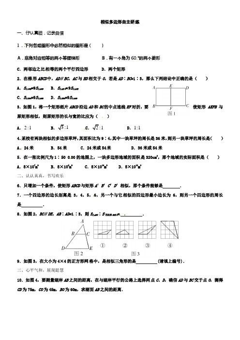 湘教版数学九上34相似多边形同步测试一